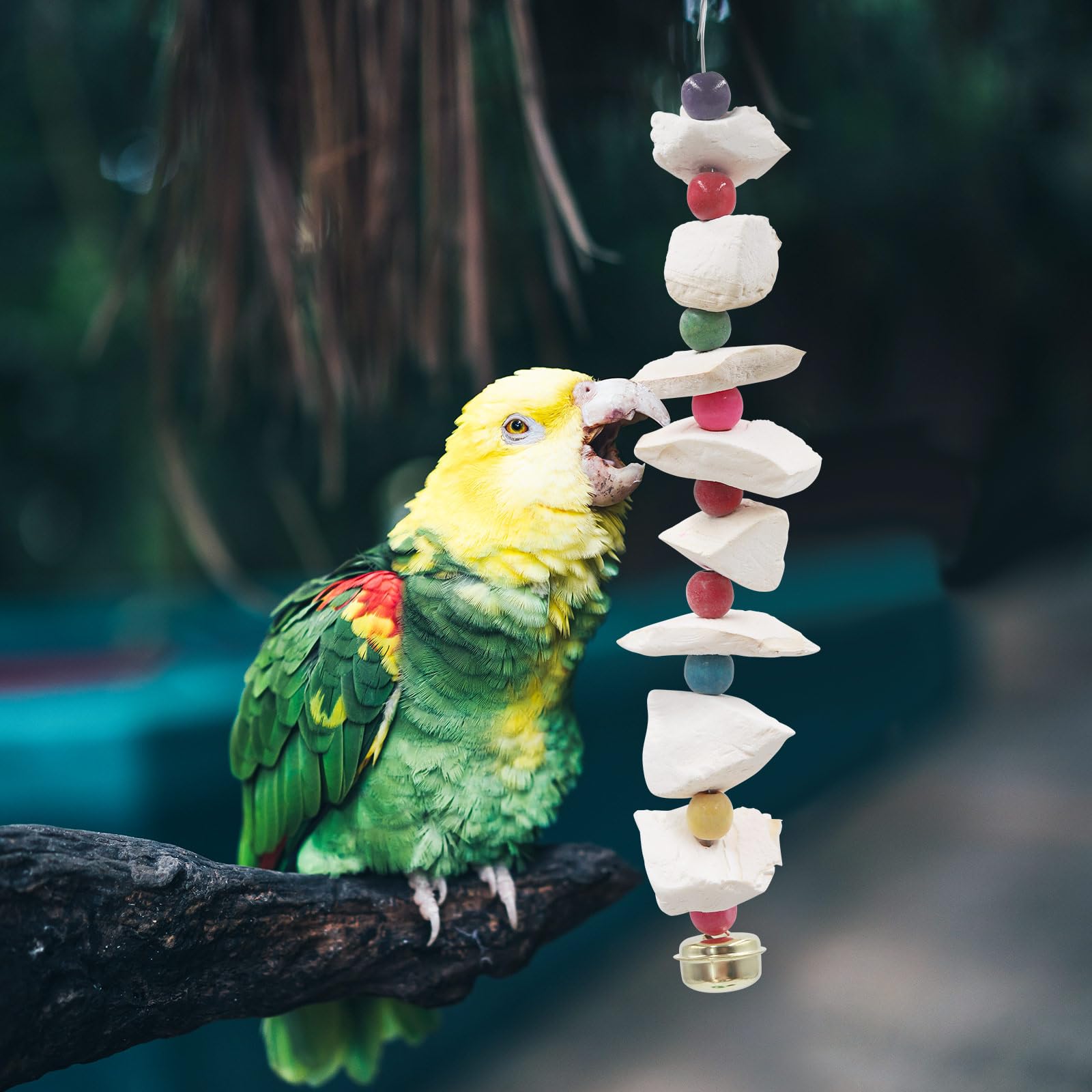 Paquete de 2 juguetes para pájaros con sepia, juguetes para periquitos, piedra de molienda de pico de pájaro, accesorios de jaula de pájaros para periquitos, hueso de sepia para periquitos, cacatúas,