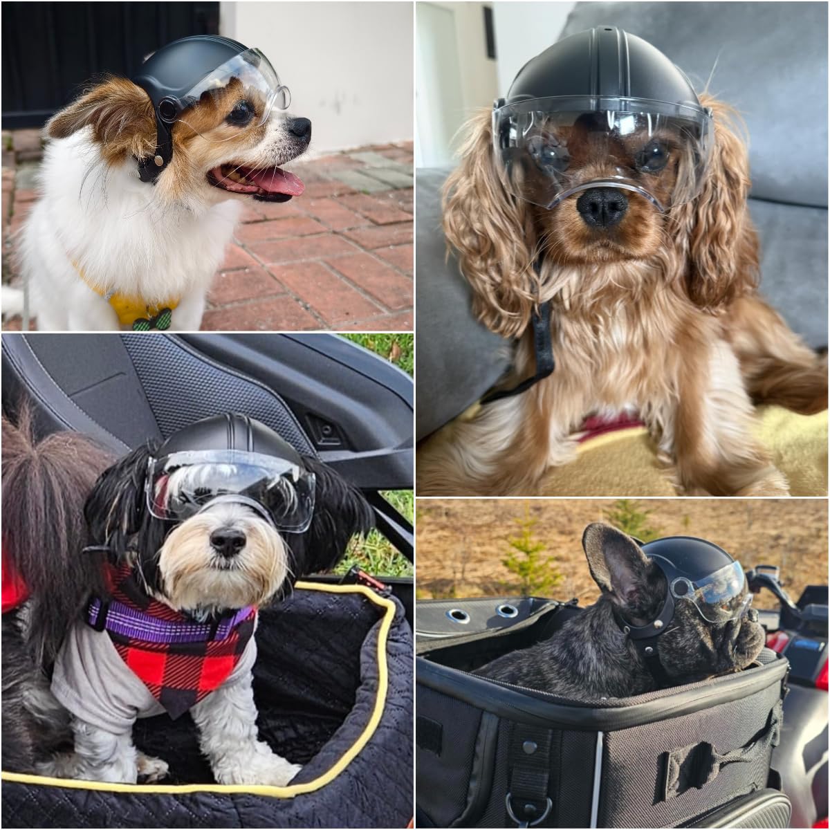 Casque de soleil transparent pour chien avec lunettes de soleil anti-UV pour petits chiens, chiots (sans rivets)