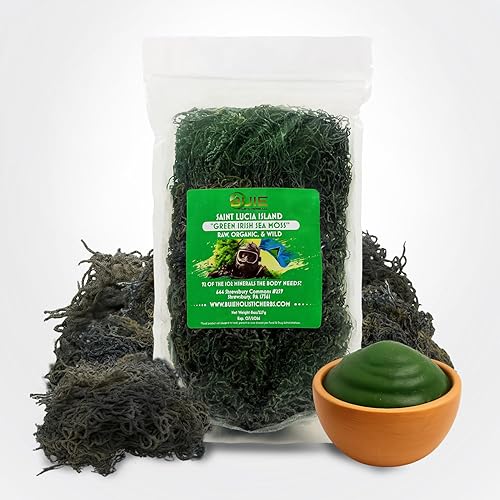 Musgo marino irlandés verde, 8 onzas | Inspirado en Dr. Sebi | Musgo marino verde orgánico | Haz más de 120 onzas de gel de musgo marino | Musgo
