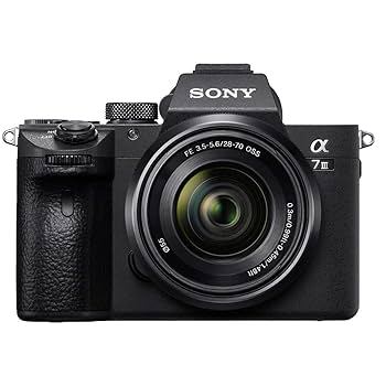 SONY α7 III ミラーレス一眼 本体のみバッテリーおまけ