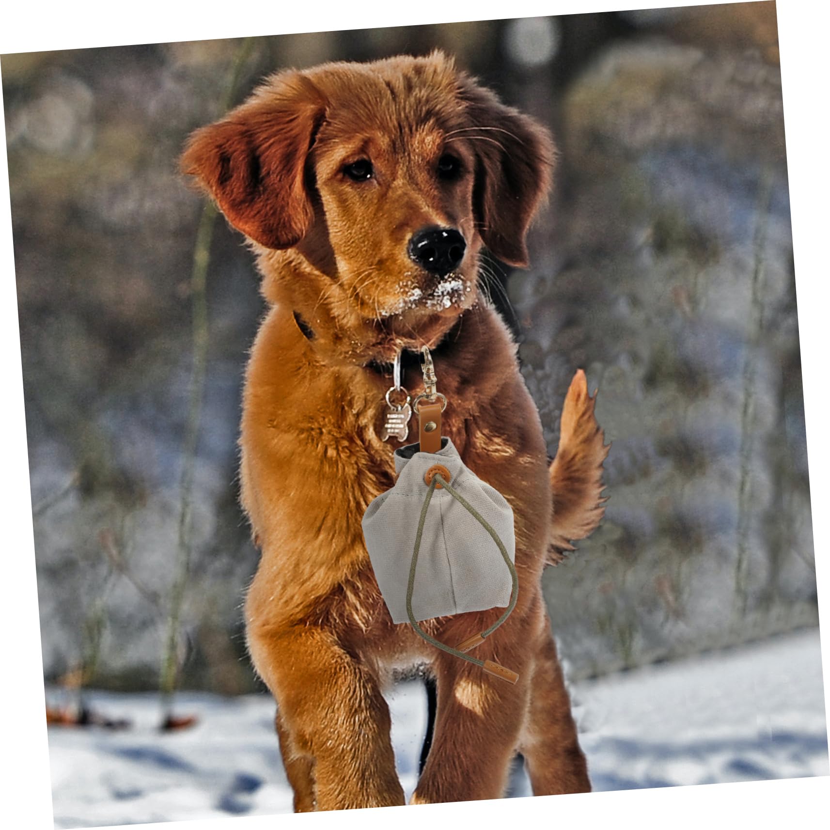Beavorty 5stücke Portable Hundeleckerlitasche Mit Kordelzug Praktischer Snackbeutel Für Hundetraining Und Tragbare Futtertasche Mit Schnalle Für Outdoor-aktivitäten Für Leckerlis Und