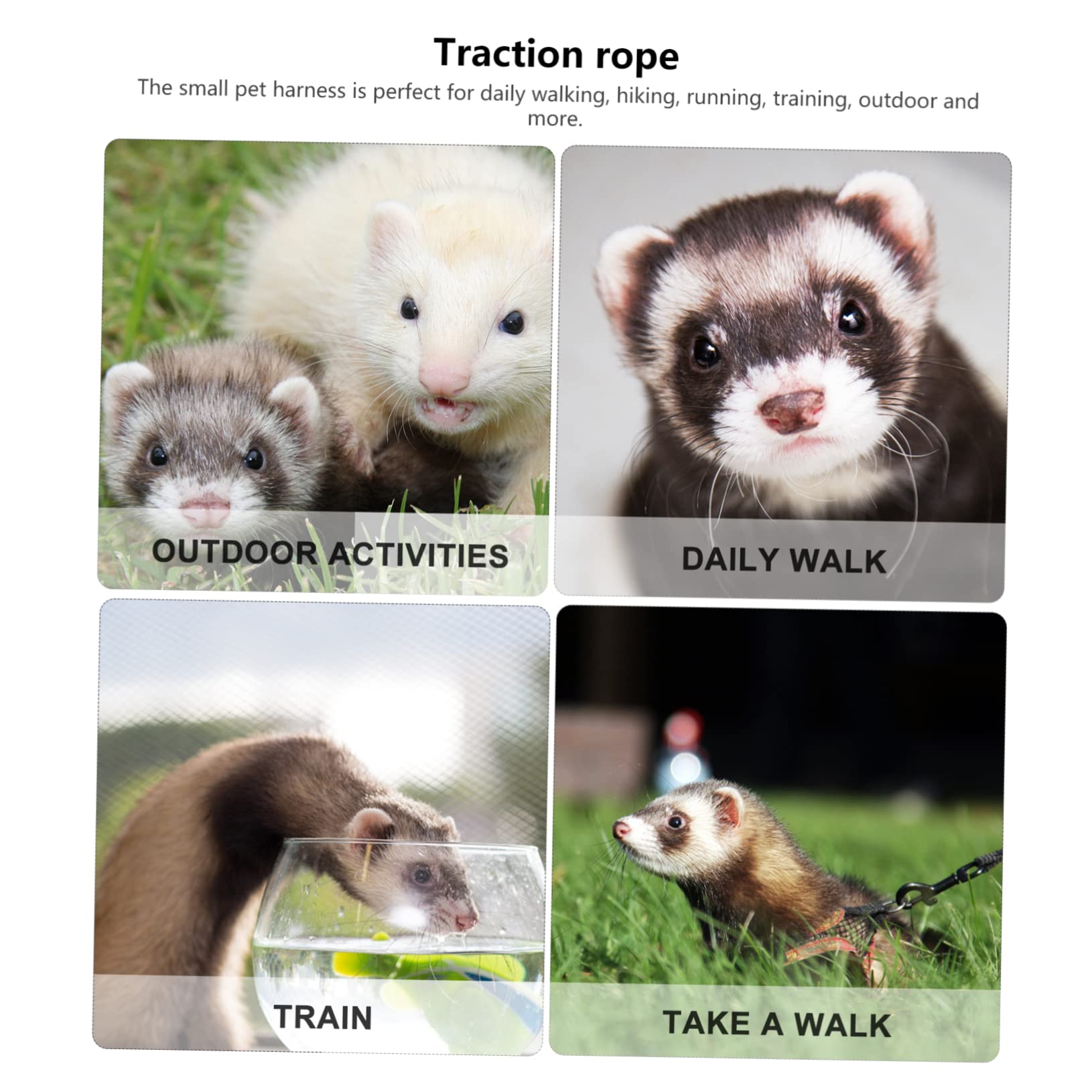 Hohopeti 2sätze Frettchen Geschirr Mit Leine Set Verstellbarer Brustgurt Für Kleine Haustiere Atmungsaktives Und Leichtes Design Für Hamster Meerschweinchen Und Kaninchen Farben
