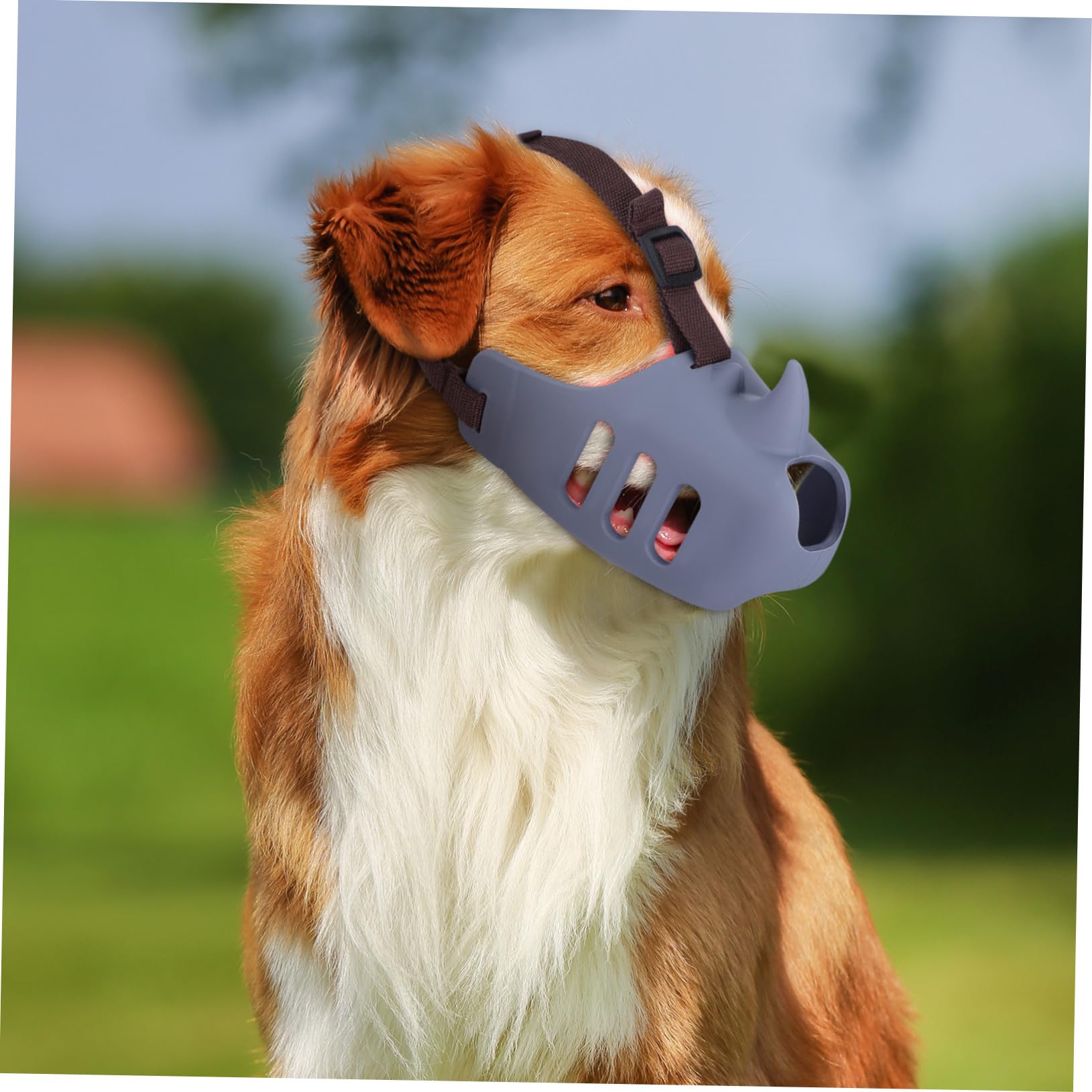 Abaodam 3piezas Bozal para Perros Medianos Ajustable y Antiladridos para Paseos y Adiestramiento Color Gris Profundo