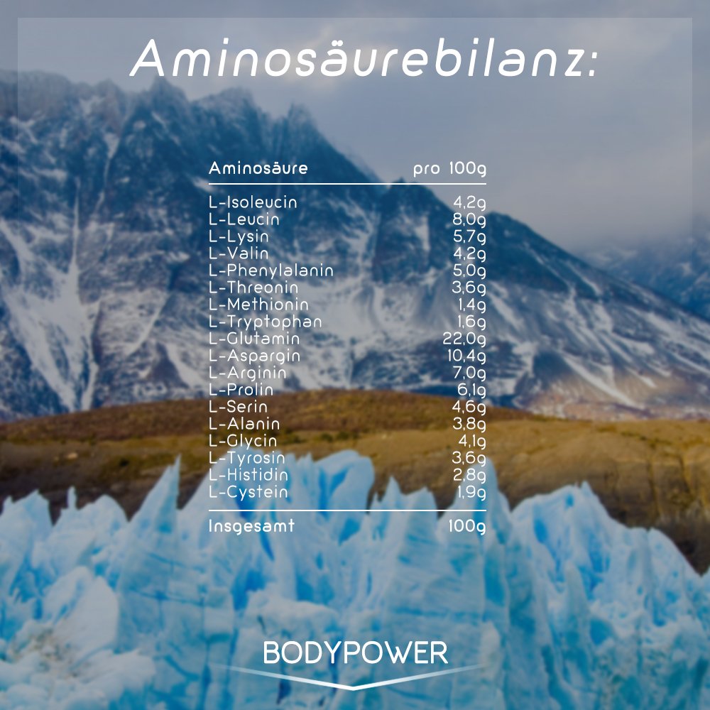 Body Power Protein 90 5kg Eimer 5K Mehrkomponenten Eiweiß Pulver 5000g (5000g, Schokolade)