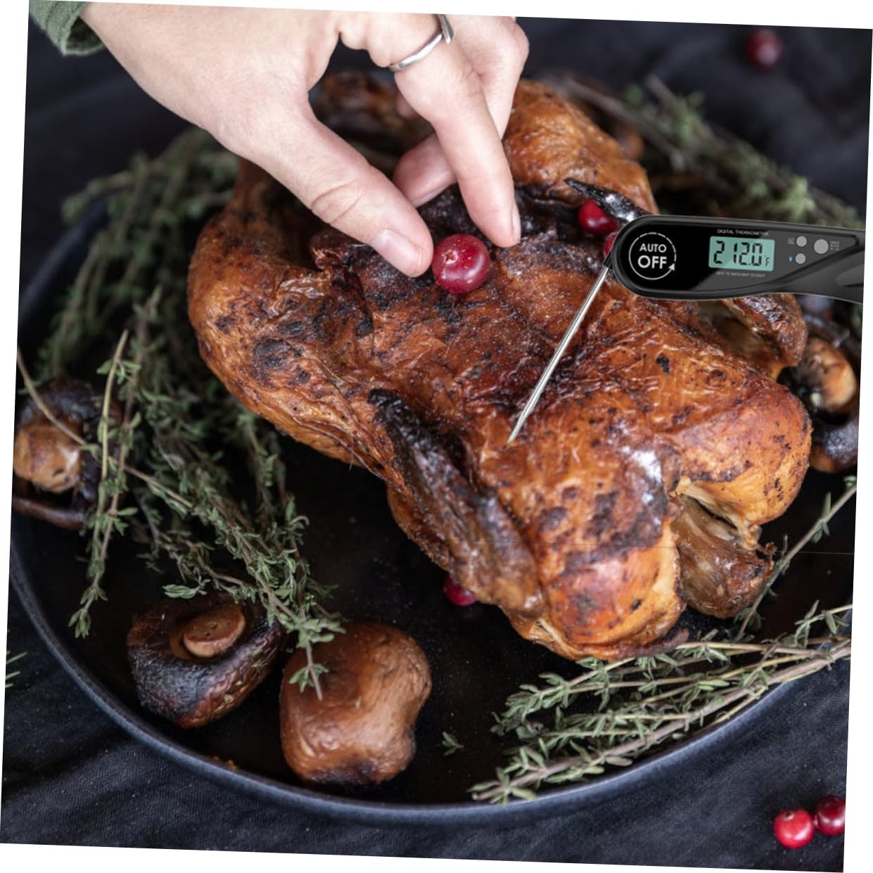 Cabilock 2stücke Fleischthermometer Mit Sofortablesung Faltbarem -sensor Für Grillen Kochen Und Backen Schwarz