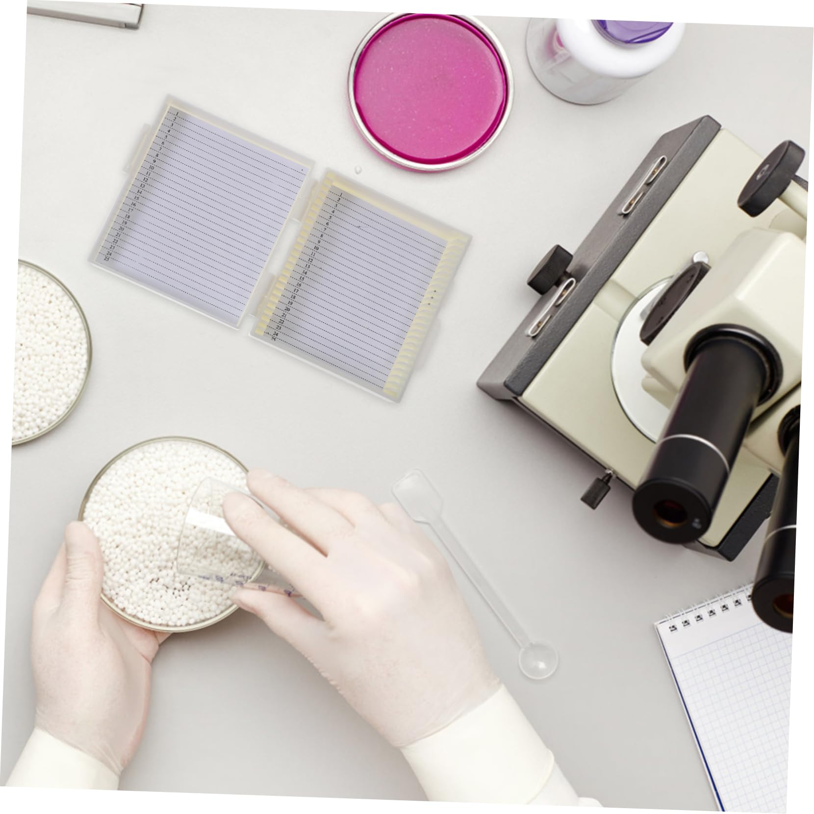 OUNONA 2pcs Slide Box Lab Microscope Slide Holders Terrarium Container Slides for Microscope Microscope Slides for Slide for Microscope Slide Storage Abs