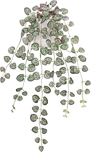 Miniatura 7 de Briful Plantas falsas en maceta de 20 pulgadas, cadena de plantas artificiales de corazón, rosa y blanco, Ceropegia Woodii plantas suculentas para