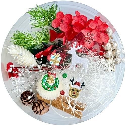 yʃJ[z n[oE ԍ A\[g Zbg nEB NX}X Xmas a  hCt[ vU[uht[ ԍރZbg lC lߍ킹  nhCh H  wAp[c ԑ W t[AW[X L