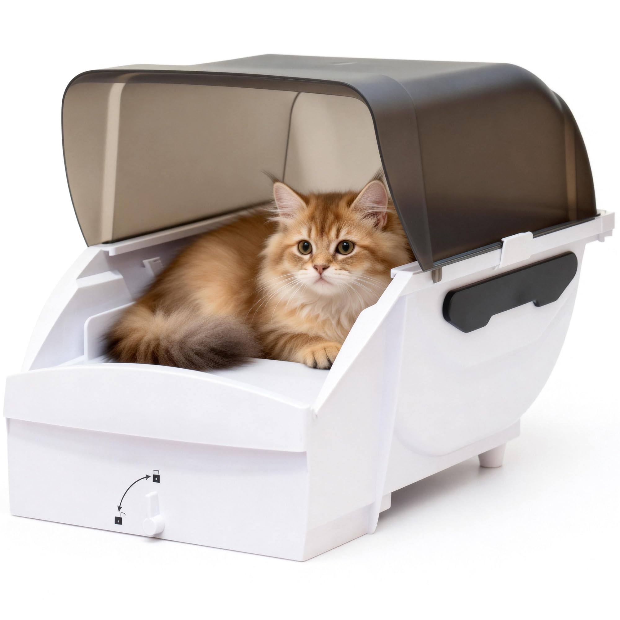Amazon | Pandaloli 全自動猫トイレ 本体 大型猫用 多頭飼い対応: 自動