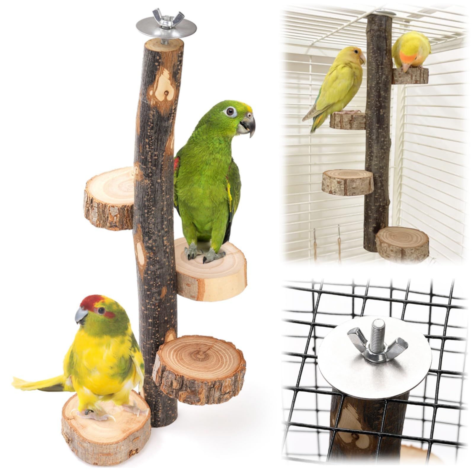 Natural Wood Bird Perch, 12 Inch Parrot Perch Stand for Cage, Small Animals Hanging Perch & Platforms for Parakeet Parrots Cockatiel, Conure, Budgie, Macaw, Bird Cage Accessories