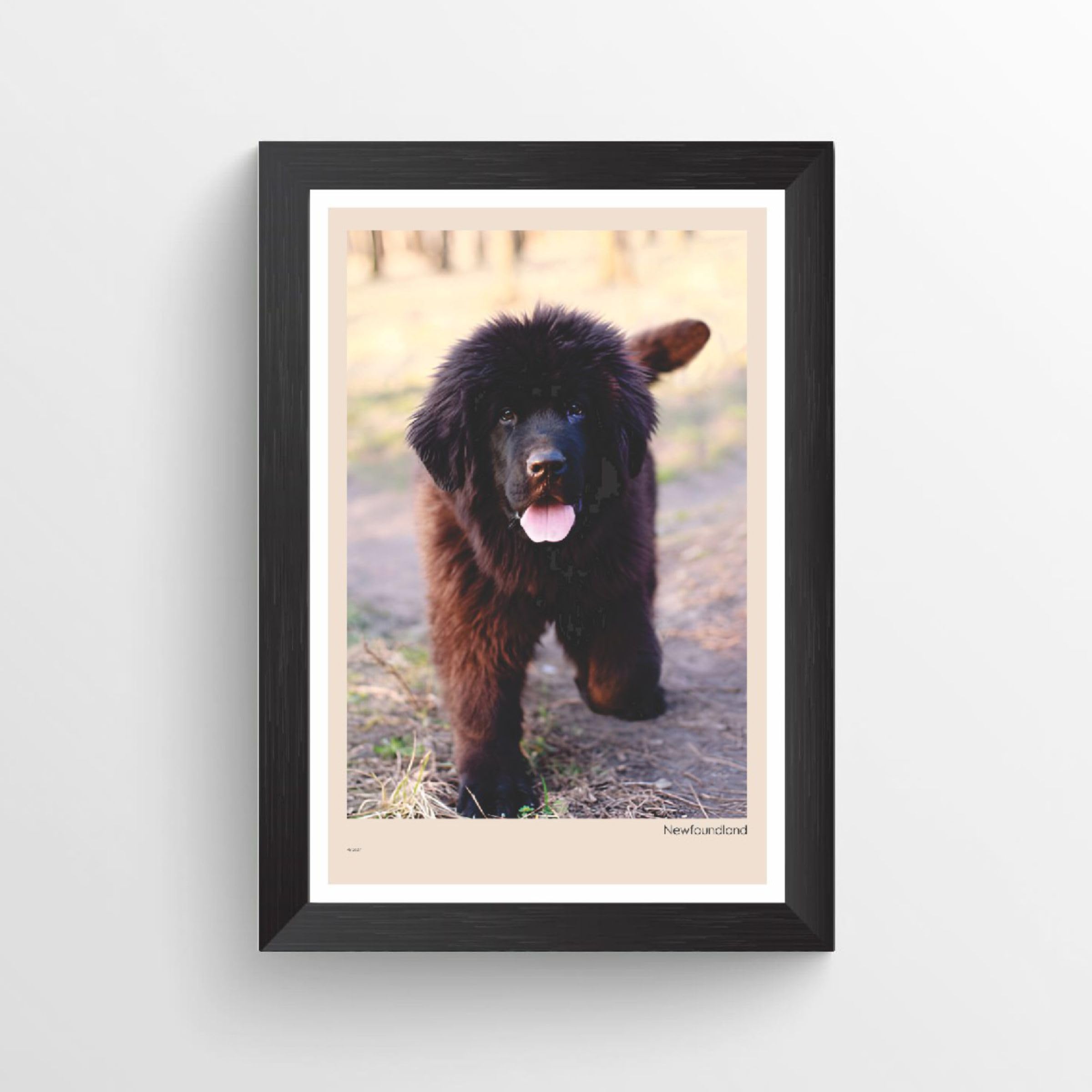 Artbox Cute Dogs & Puppies Framed Poster | 13x19 Inch Dog Wall Art