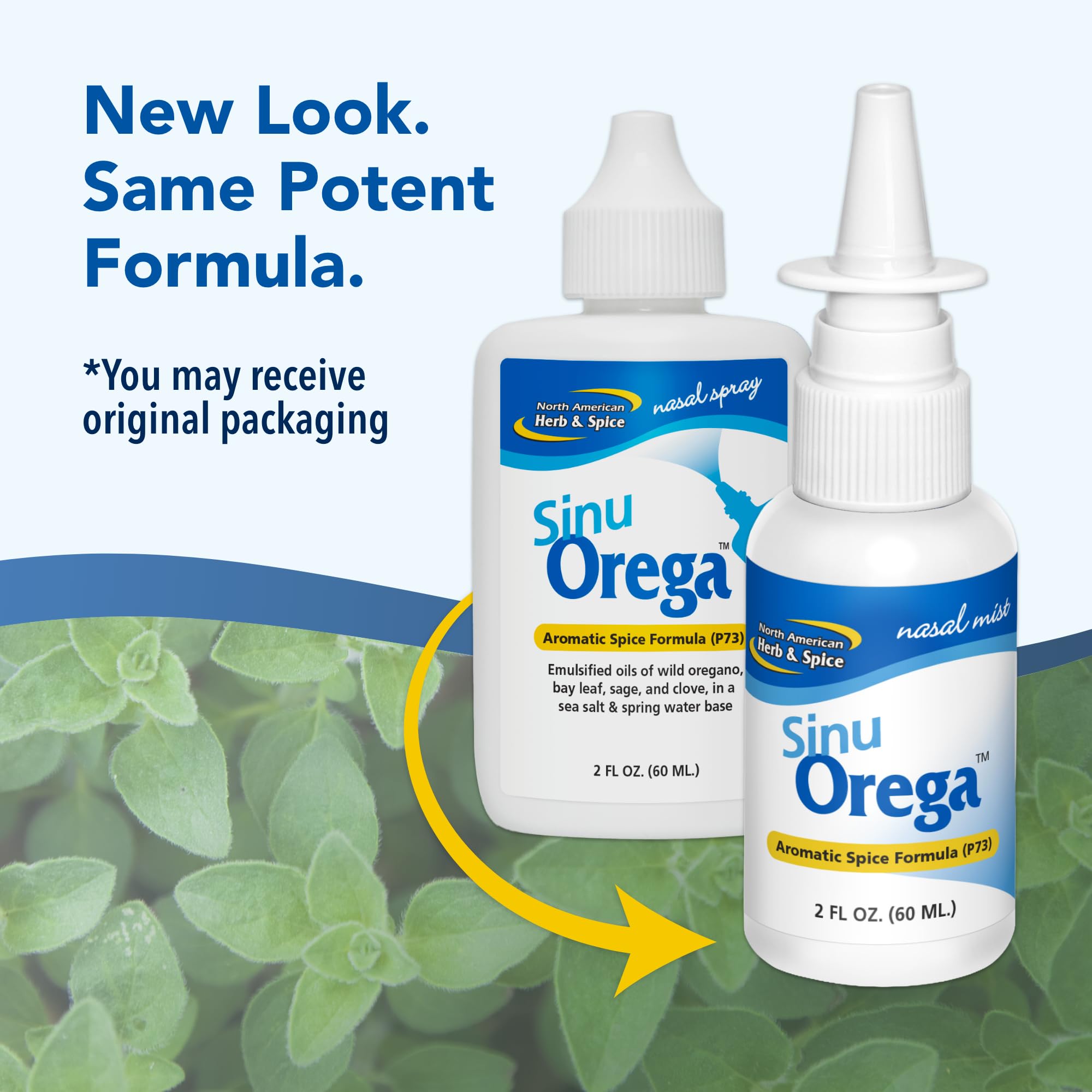 Amazon.com: NORTH AMERICAN HERB & SPICE SinuOrega - 2 fl oz - Pack