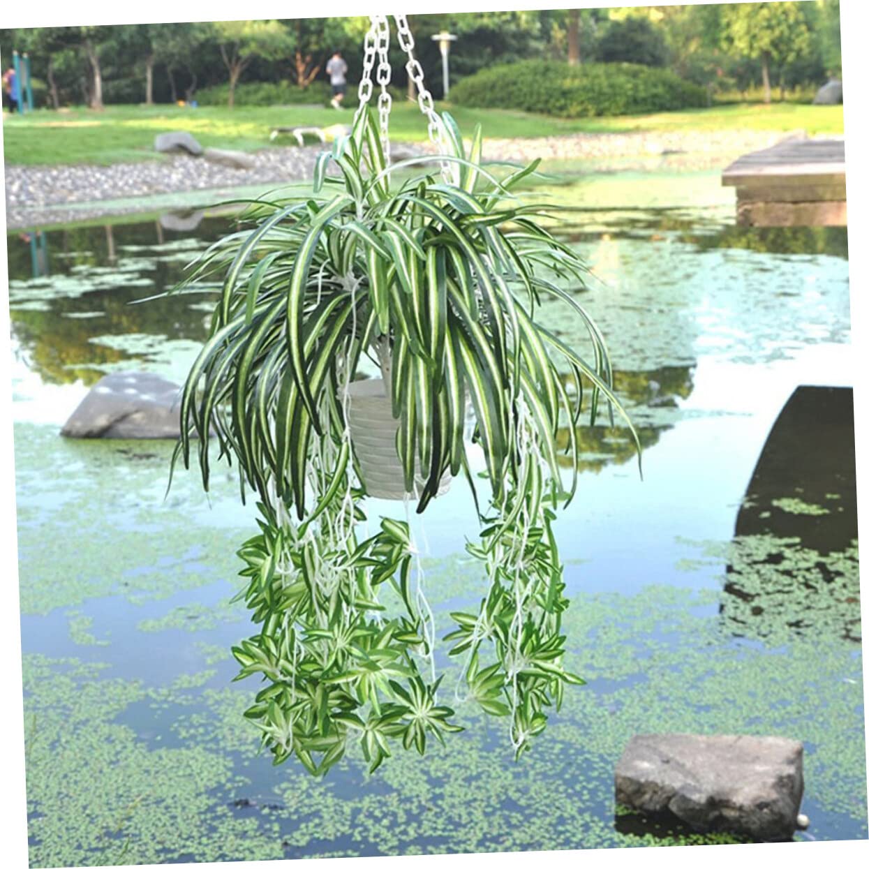 YARNOW 6pezzi Piante Sospese Artificiali Plastica Con Foglie Di Chlorophytum Per Decorazione Casa Ufficio e Feste Di Design Realistico Per Vasi e Ceste Appese