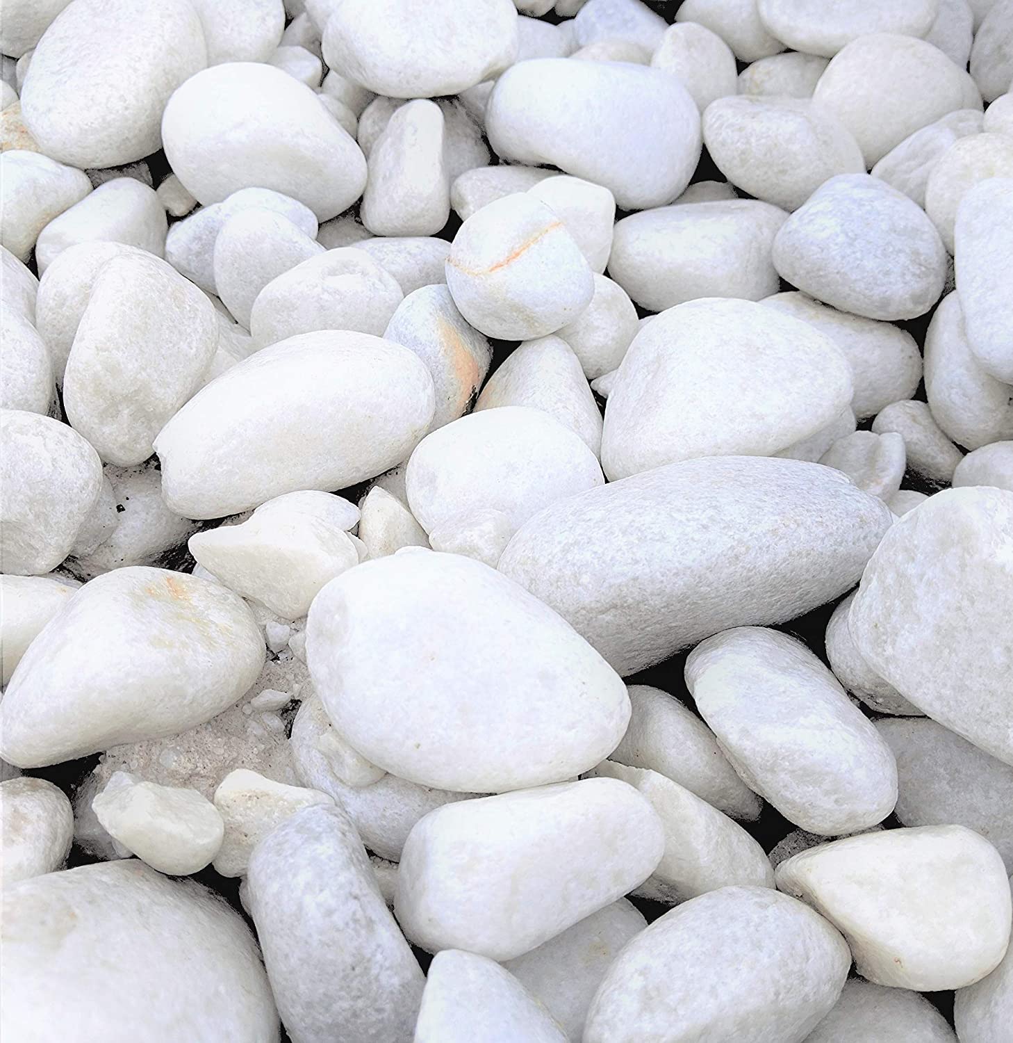 Suregreen White Cobbles | 40mm - 90mm | 2 Pack | 20kg Bags | Aggregates, Garden Pebbles, Garden Chippings, Driveway Stones/Sealer