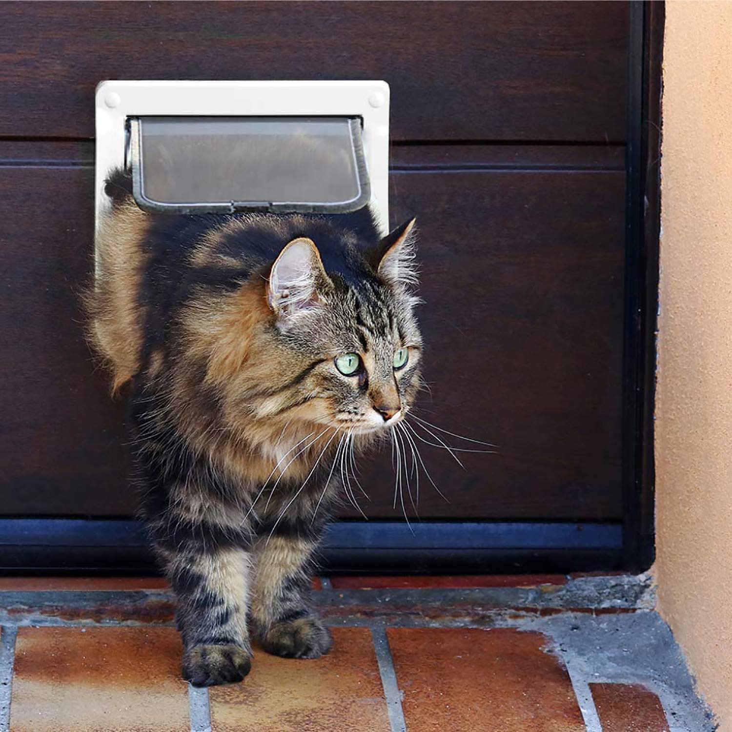 PetsN'all Chatière à 4 Positions pour Chat avec Tunnel, Cache, Découpe, Serrure - Porte pour Petit Animaux, Installation Facile