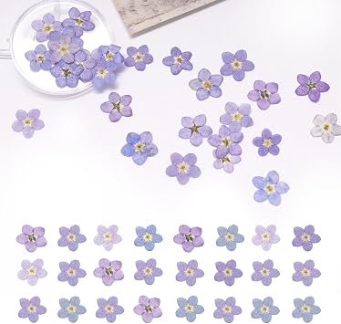 60Pcs Natural Forget Me Not Dried Flowers Real Dried Pressed Flowers Blue Dont Forget Me Flowers for Resin, Soap Making, Scrapbooking, Epoxy DIY Resin Craft Decor