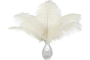 Ballinger Boho Beige Ostrich Feathers