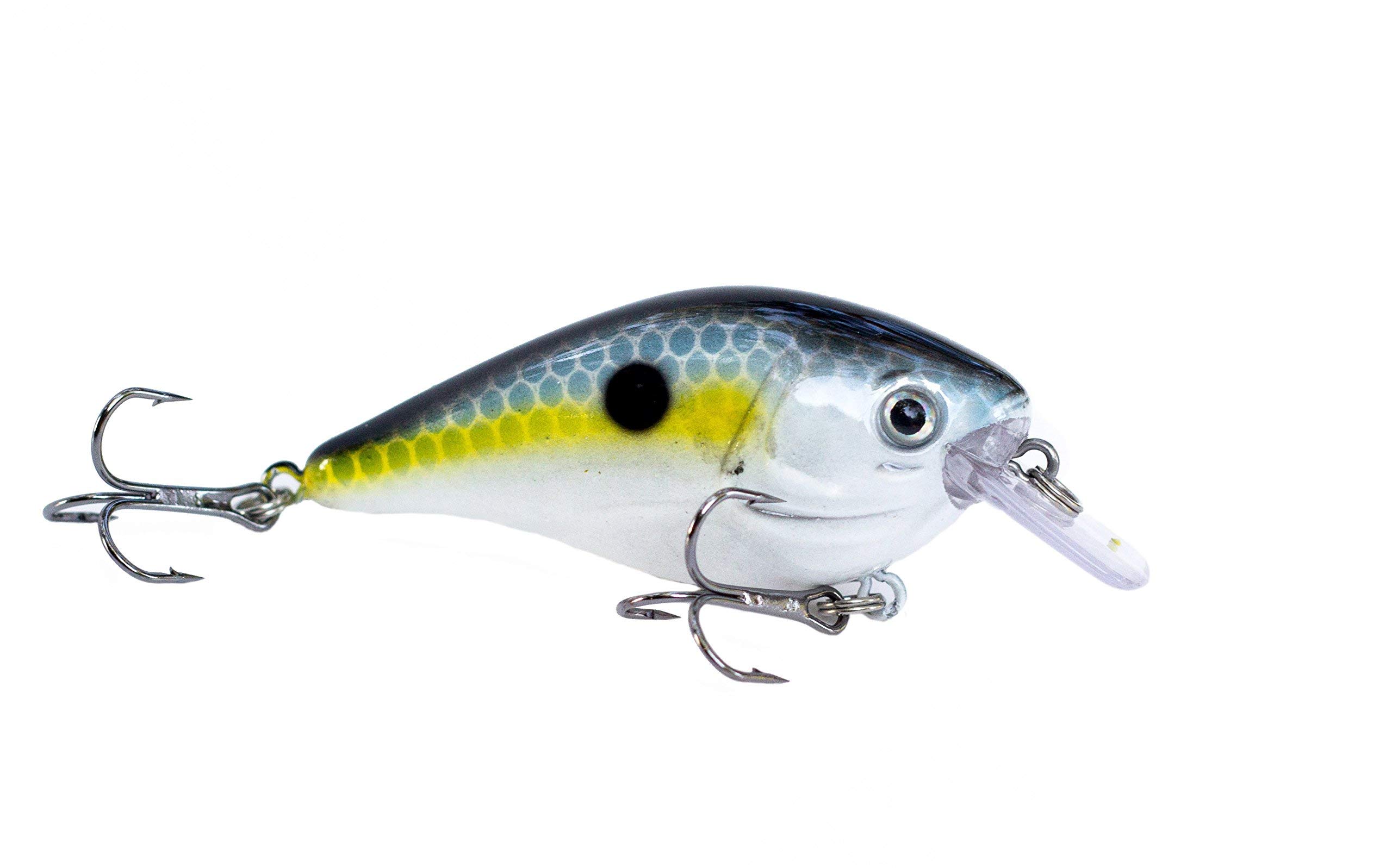 Atko Big Bass Square Bill CrankBait
