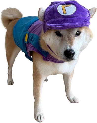 Miniatura 5 de ComfyCamper Disfraz de perro con sombrero y tirantes  Disfraz de Halloween, talla XL, mediano, pequeño, estrella de laboratorio, cosplay, Halloween,