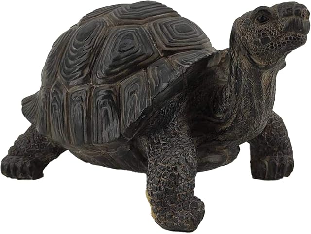Garden and Home Decor TOR001 - Realistic 11 Inch Tortoise Polyresin Statue - Hand Painted Figurine - Intricate Detail Suitable for Indoor or Outdoor Use - Frost and Fade Resistant Animal Lawn Ornament