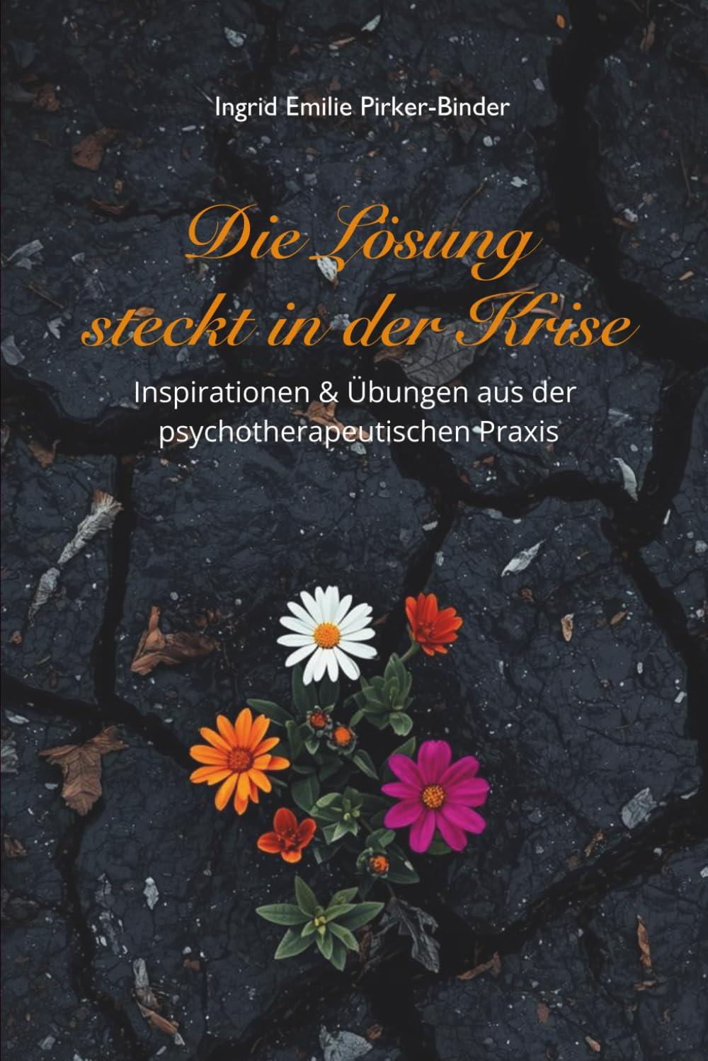 Die Lösung steckt in der Krise: Inspirationen und Übungen aus der psychotherapeutischen Praxis