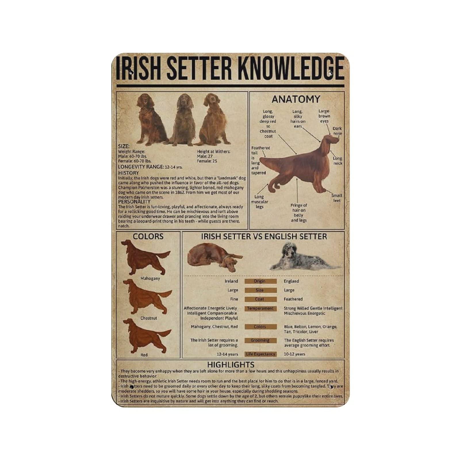 Irish Setter Knowledge Metal Tin Sign Artwork Poster Outdoor Sign Vintage Decor Plaque Poster Cave Garage Pub Bar Kitchen Home Decoration 12"x8"