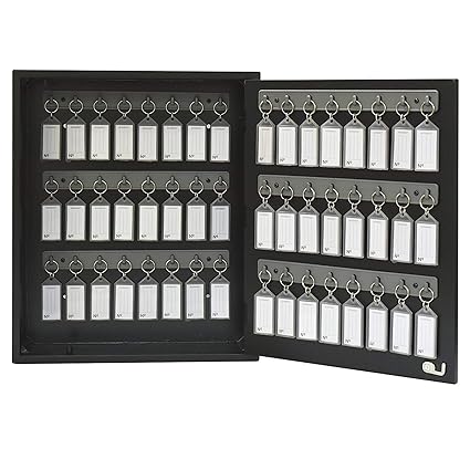 Acrimet Key Cabinet Organizer 48 Positions with Lock (Wall Mount) (48 Smoke Tags Included) (Black Cabinet)
