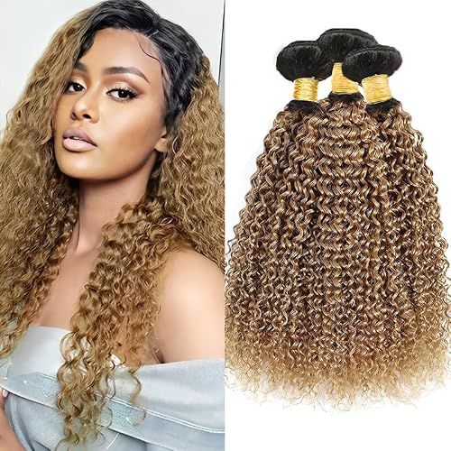 Honey Blonde Bundles Human Hiar 8 10 12 inch Ombre Water Wave Hair Weave for Black Women Brazilian Virgin Hair 12A Quick Weave 3 Bundles Double Weft(Black Ombre Honey Blonde,#T1B/27)