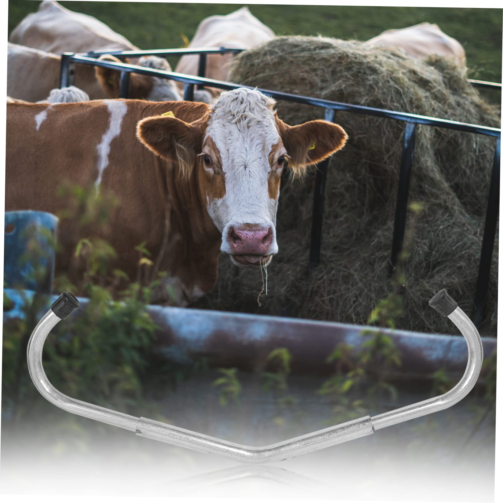 ifundom 1 Pz Etichette Anti-Calcio Per Bovini Asta Anti-Calcio Per Pascolo Pesante Pratico Accessorio Per Allevamento Regolabile Accessorio Per Ranch Argento Zincato