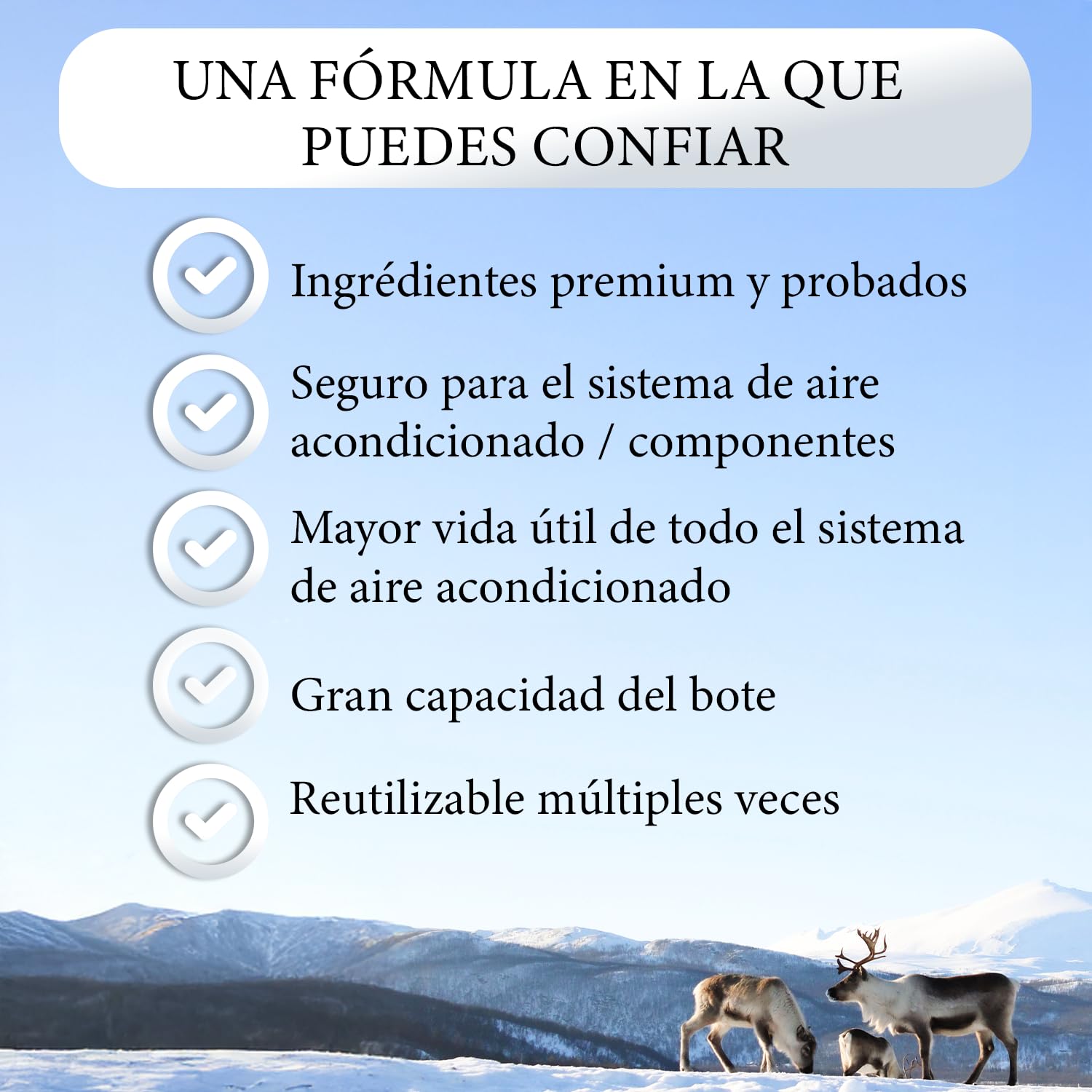 Nordo 5 en 1 – Refrigerante R134a XL para aire acondicionado de coche con aceite, sellador de fugas, trazador UV y deshidratante + adaptador HP/LP – Protege el compresor – 235 g por lata