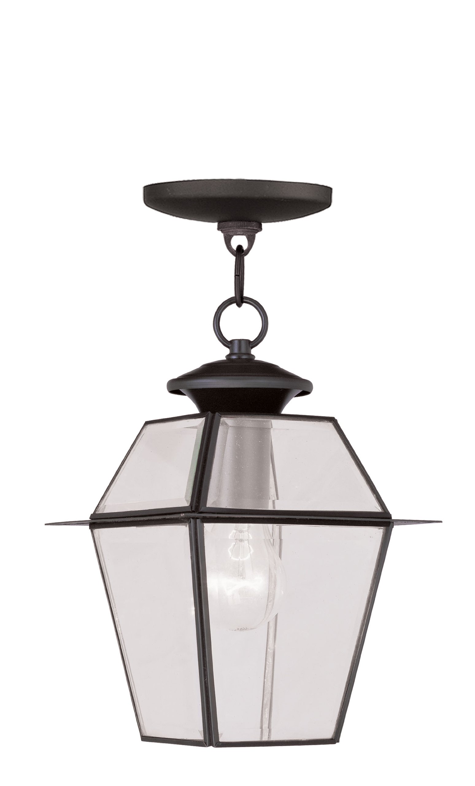 Livex Lighting 2183-07 Westover 1-Light Outdoor Hanging Lantern, Bronze