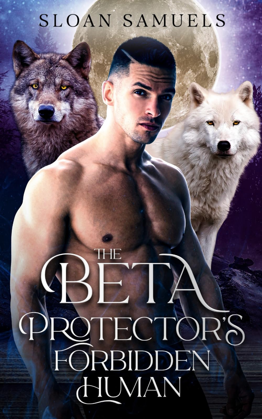 The Beta Protector's Forbidden Human: A Fated Mates Wolf Shifter Paranormal Romance (District of Wolf Desires)