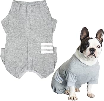 専用●犬服●ハンドメイド 胴58 NO.551 フレブル L No.犬服ハンドメイド 専用○犬服○ハンドメイド 胴58 NO.551 フレブル L