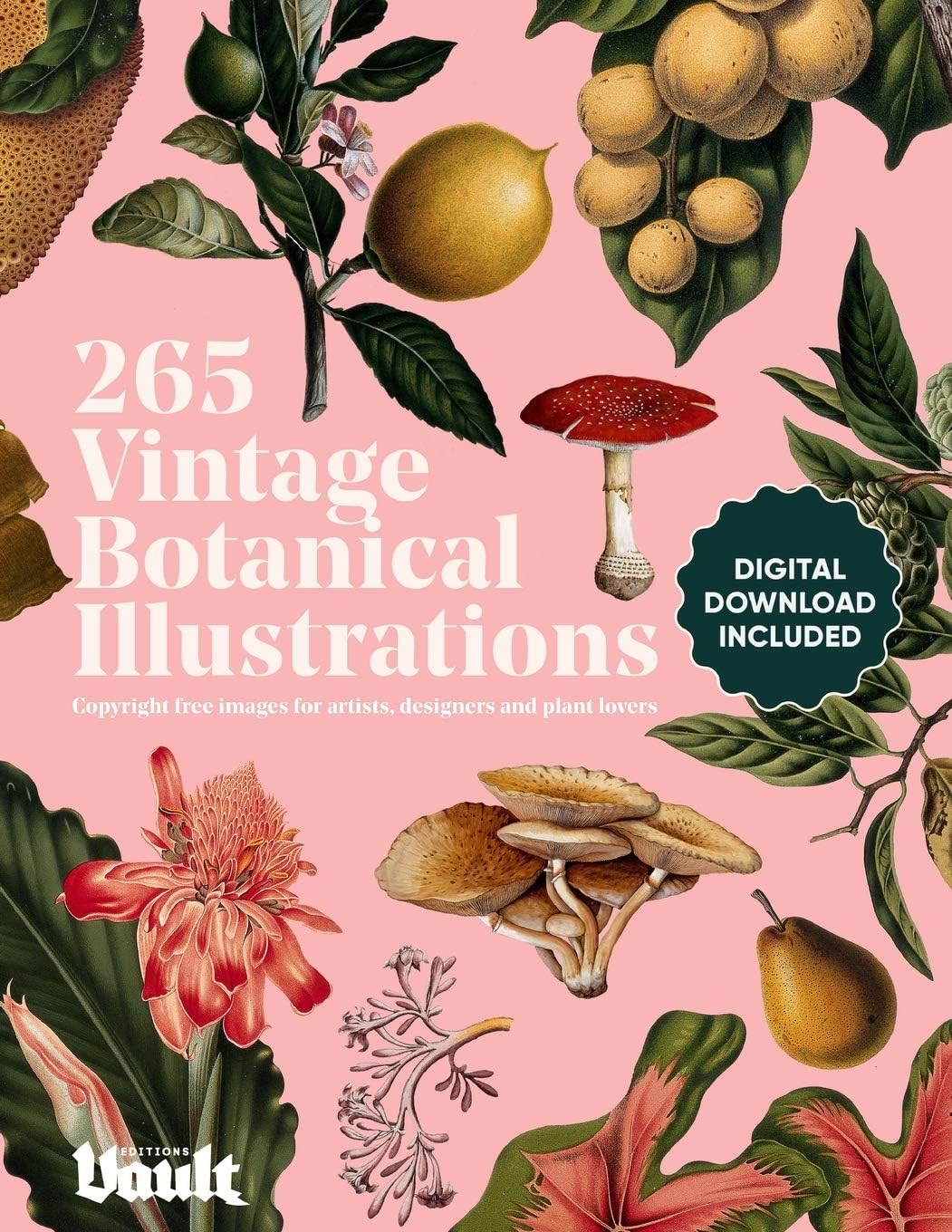 Vintage Botanical Illustration: Copyright-Free Images for Artists, Designers and Plant Lovers (Image Archive Series by Vault Editions)