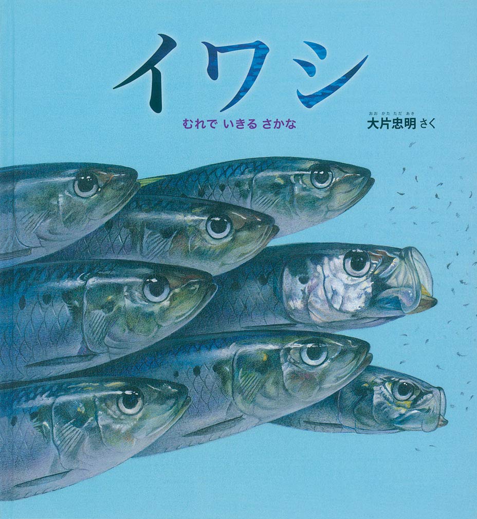 Amazon.co.jp: イワシ むれで いきる さかな (かがくのとも絵本