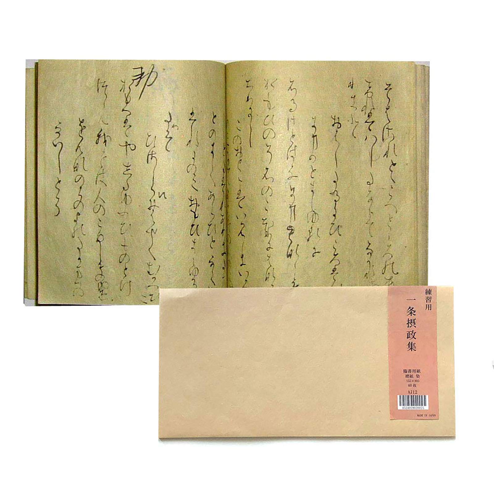 Amazon.co.jp: 書道用品 臨書用紙 一条摂政集練習用紙AJ12 : 文房具