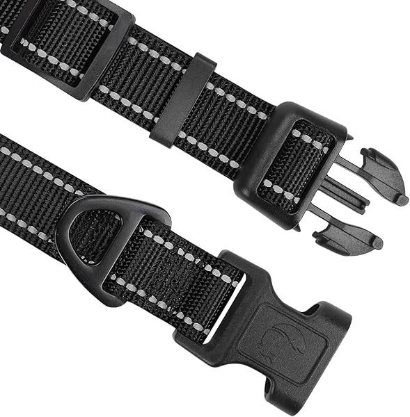 Joytale Joytale Reflective Dog Collar, Soft Neoprene Padded Breathable Nylon Pet Collar Adjustable for Extra Small and Puppy Dogs, XS, Black in use