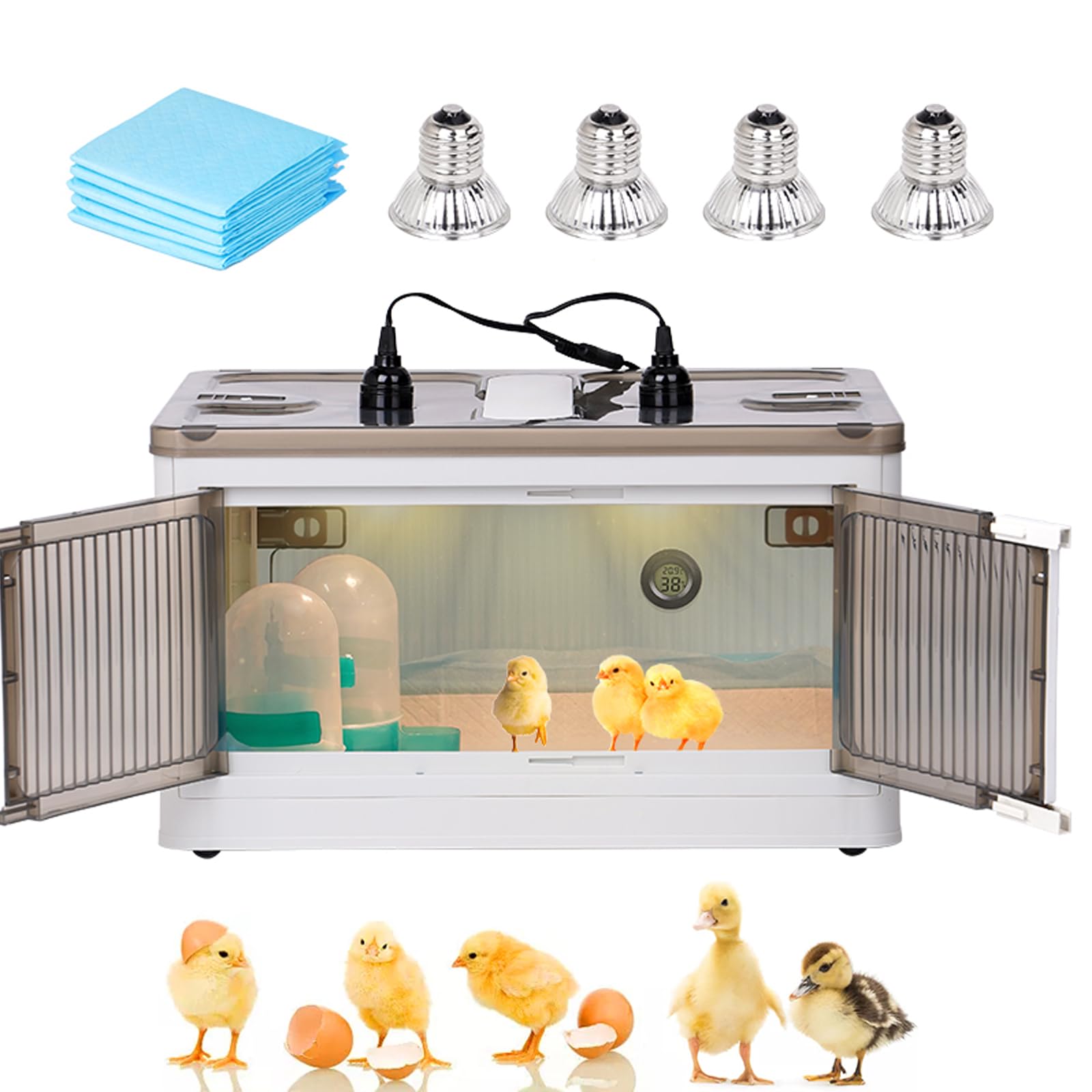 Scatola per allevamento di polli per pulcini e quaglie con termostato Riscaldatore per pollame Scatola di allevamento con alimentatore e acqua per 10-15 neonati Piccoli animali Pulcino Quaglia Anatra