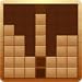 Wood Block Puzzle Free 2021