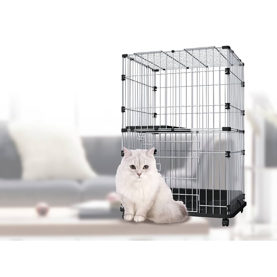 Amazon.co.jp: アドメイト (ADD. MATE) ヴィラフォート キトン