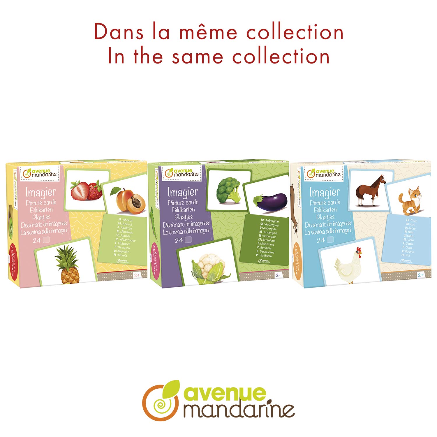 Avenue Mandarine, Ref JE510C, Multilingual Picture Cards, Vegetables, Features 10 European Languages - Image 4