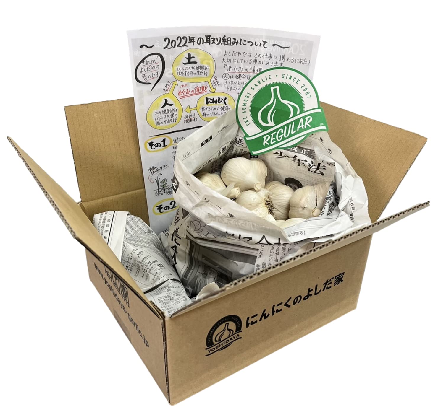 にんにくのよしだ家 青森県産にんにく レギュラー 最高級品種 青森県産 福地ホワイト六片 国産ニンニク (レギュラー)