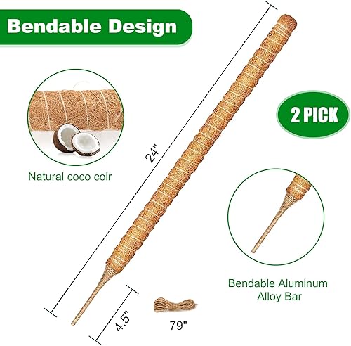 Miniatura 3 de Joyhalo Poste de musgo para plantas, paquete de 2 estacas de soporte para plantas Monstera de 24 pulgadas, postes de musgo para plantas trepadoras,