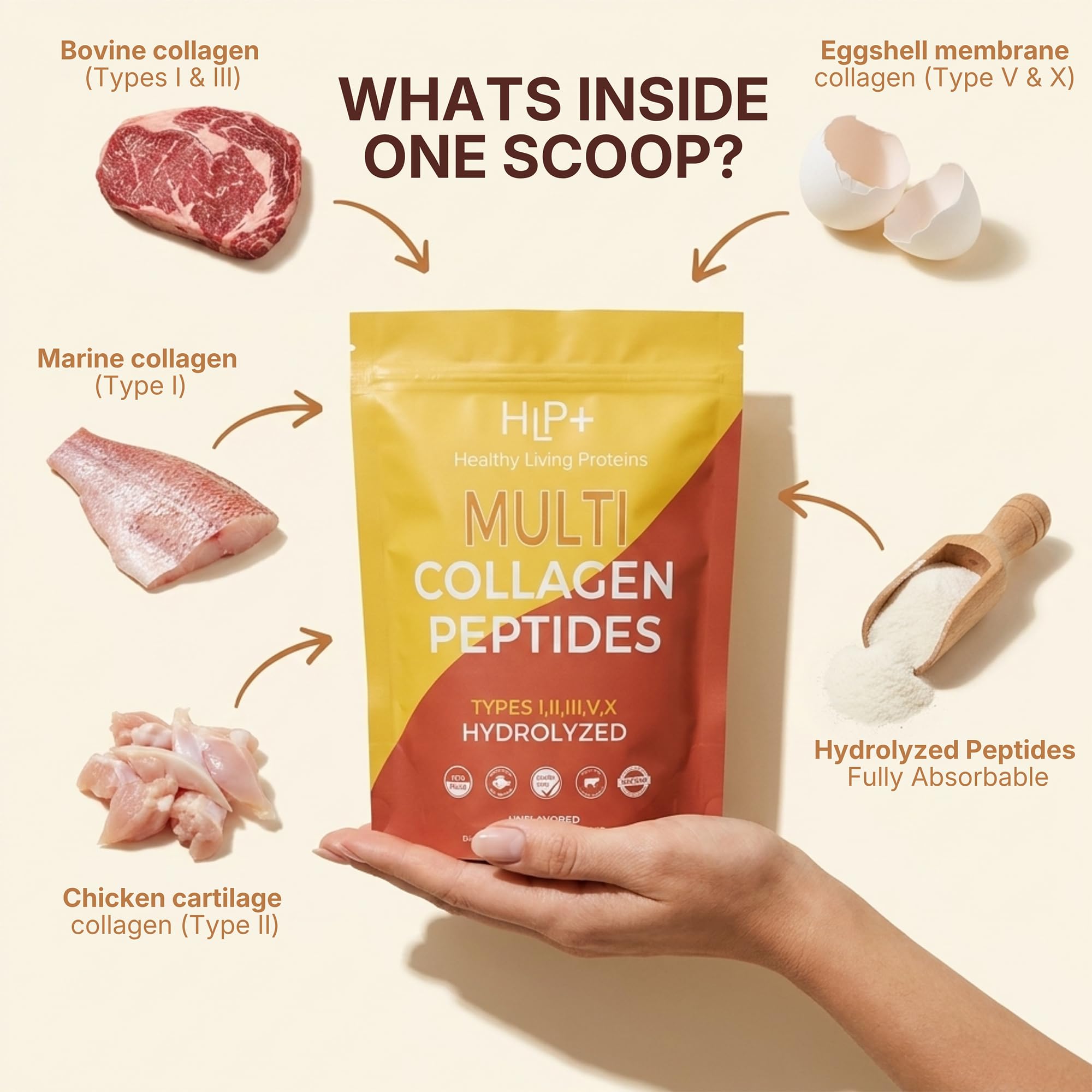 Healthy Living Proteins | Multi Hydrolyzed Collagen Peptides Type I, II, III, V, & X | Grass Fed Bovine, Wild Caught Marine, Free Range Chicken | Gluten Free (Unflavored, 1 Pound (Pack of 1)) — Amazon image 5