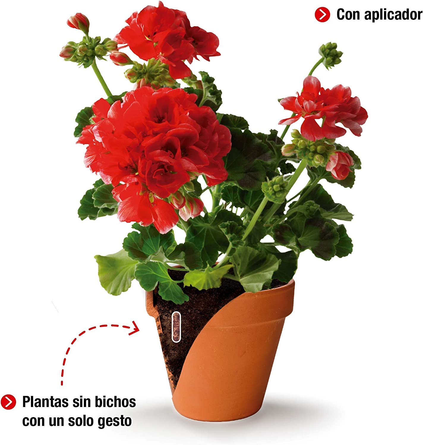 PROTECT HOME Pack de 2 Prontect Home-Sanium Pin insecticida sistémico con Fertilizante y micronutrientes, Tratamiento Combinado, 20 Pastillas, Verde (11092)