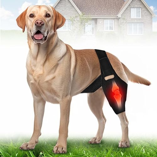Miniatura 1 de Rodillera para perro, soporte ajustable para piernas de perro para desgarro de ACL, dolor de articulaciones, dolor muscular para mascotas (L)