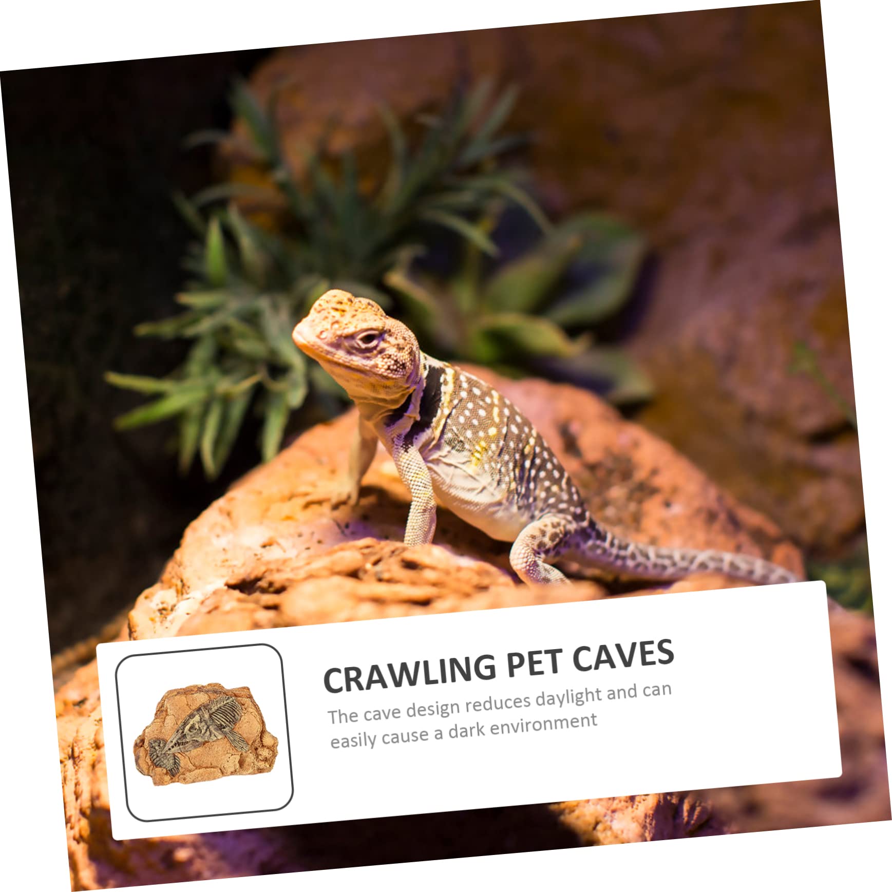 Reptilien Versteckhöhle für Terrarien aus Kunstharz, Kleine Höhle | Stain Resistant, Safe For Reptiles, Form Höhle, Passend für Reptilien im Terrarium