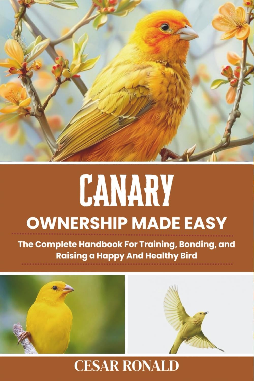 Canary Ownership Made Easy: The Complete Handbook For Training, Bonding, and Raising a Happy And Healthy Bird (The Bird Encyclopedia Collection)