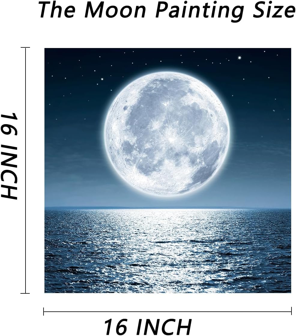 https://m.media-amazon.com/images/I/71vpIhDWL5L._AC_SL1296_.jpg