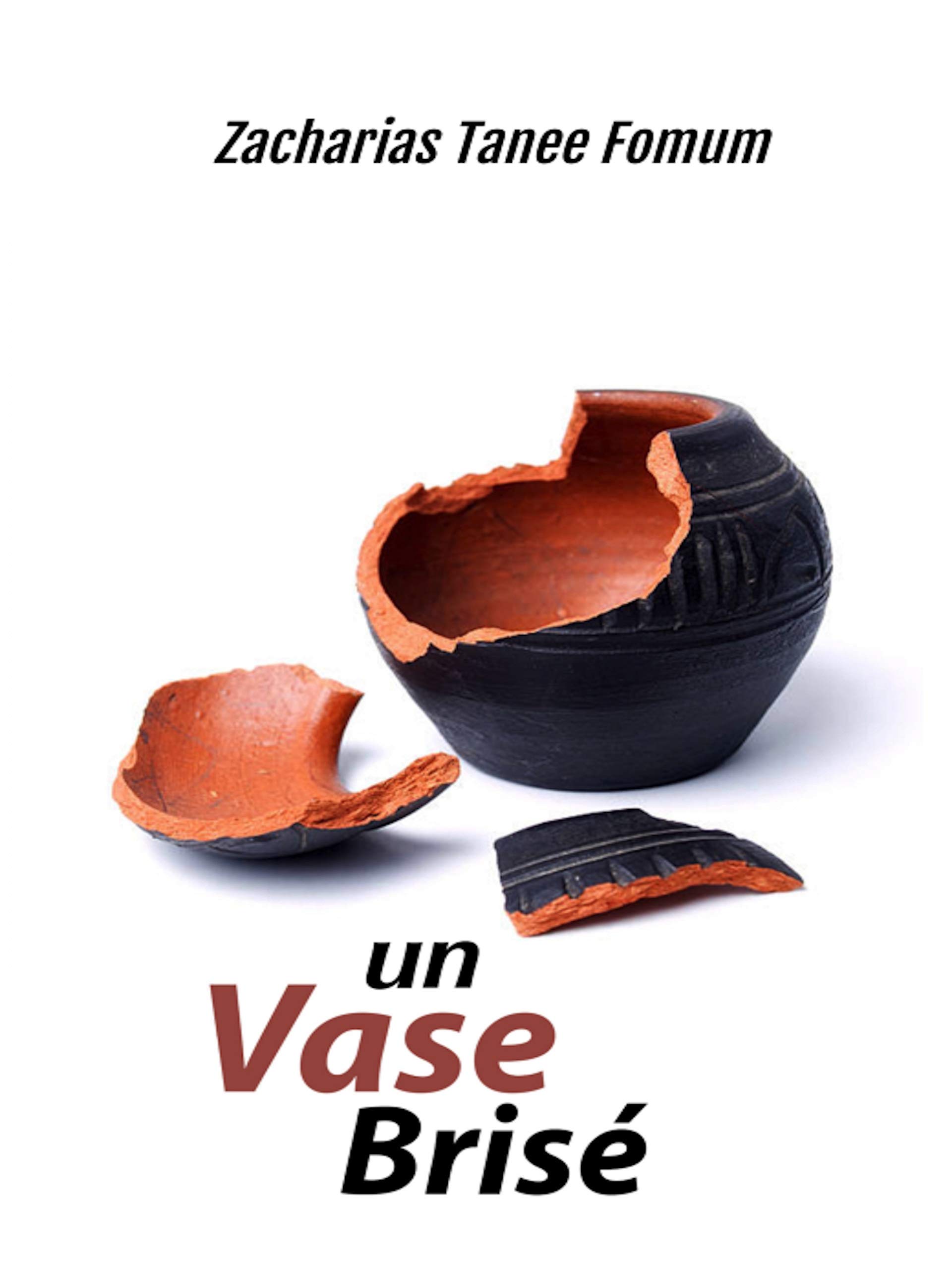Un Vase Brisé (Série Spéciale t. 2) (French Edition)